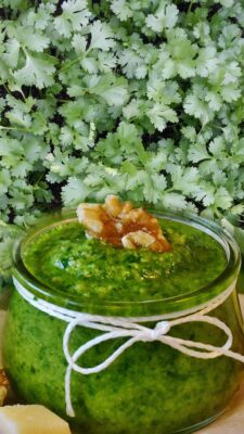 Koriander-Pesto im Asiastyle