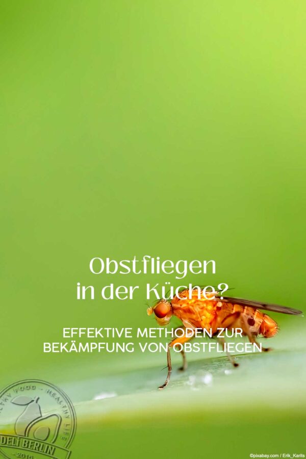 Effektive Methoden zur Bekämpfung von Obstfliegen in der Küche