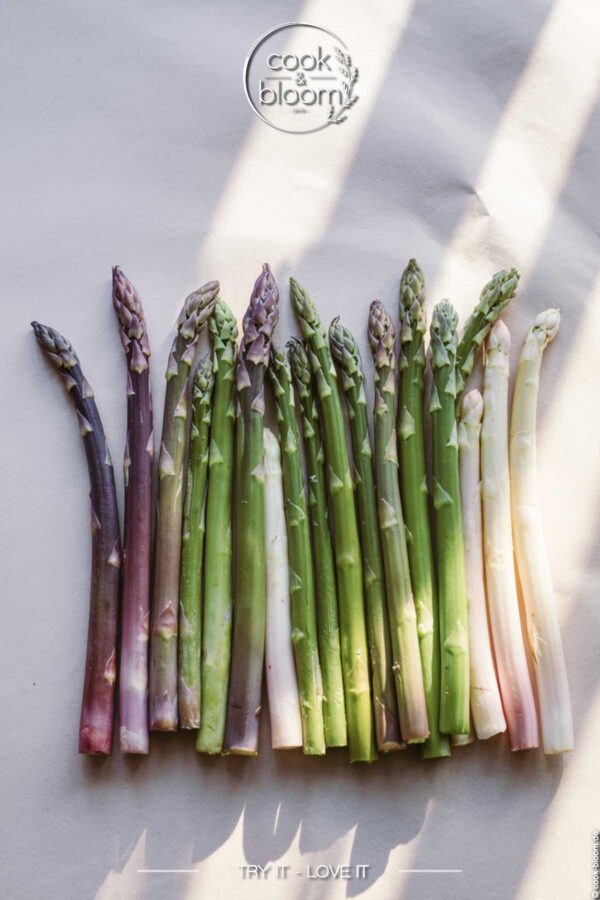 Die drei Stars der Saison: Weißer, grüner & violetter Spargel im Überblick